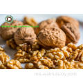 Walnut Kernel Light Amber Halves (lah) dari Yunnan